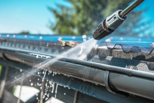 Best Roof Power Washing Services  in Cass City, MI