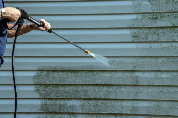 Best Pressure Washing Driveway  in Cass City, MI