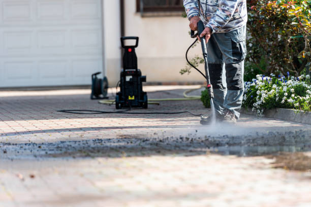 Best Roof Pressure Washing  in Cass City, MI