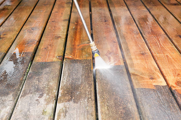Best Commercial Pressure Washing  in Cass City, MI