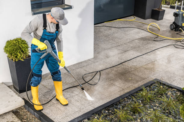  Cass City, MI Pressure Washing Pros