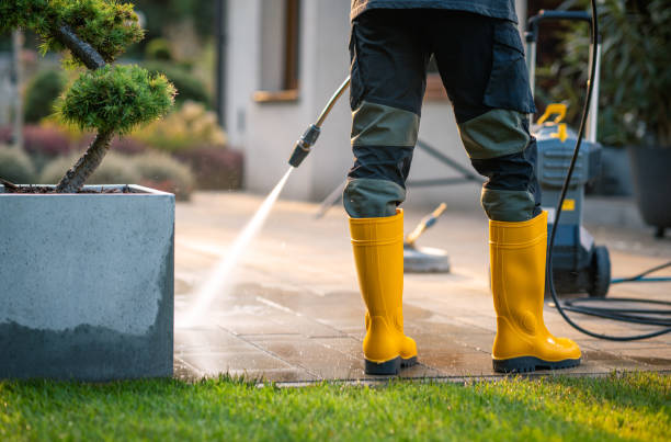 Pressure Washing Contractors in Cass City, MI